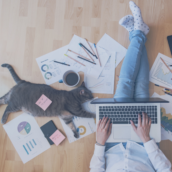 Photo of person with legs crossed sitting on floor working on laptop with papers strewn about and a cat