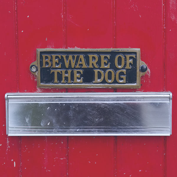Photo of a sign reading, "Beware of dog"
